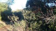 Photo achat Villa AC2227 de SAINT DREZERY