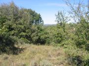 Photo achat Terrain Bj14928 de BARJAC