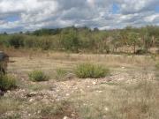 Photo achat Terrain Fr12100 de SAINT GELY DU FESC