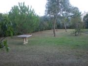 Photo TERRAIN Herault