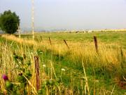 Photo achat Terrain AC4029 de CAMPAGNAN