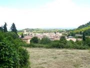 Photo  

Site 

 Tg3758