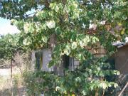 Photo achat Villa Tg6230 de PEZENAS