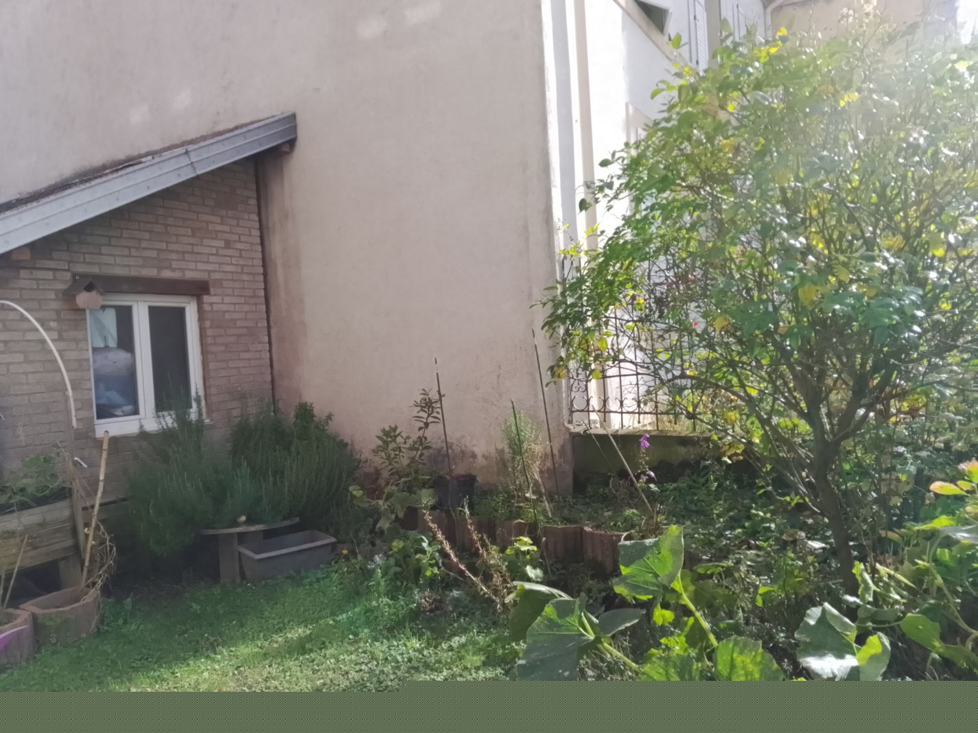 famicity orangée Immobilier.png