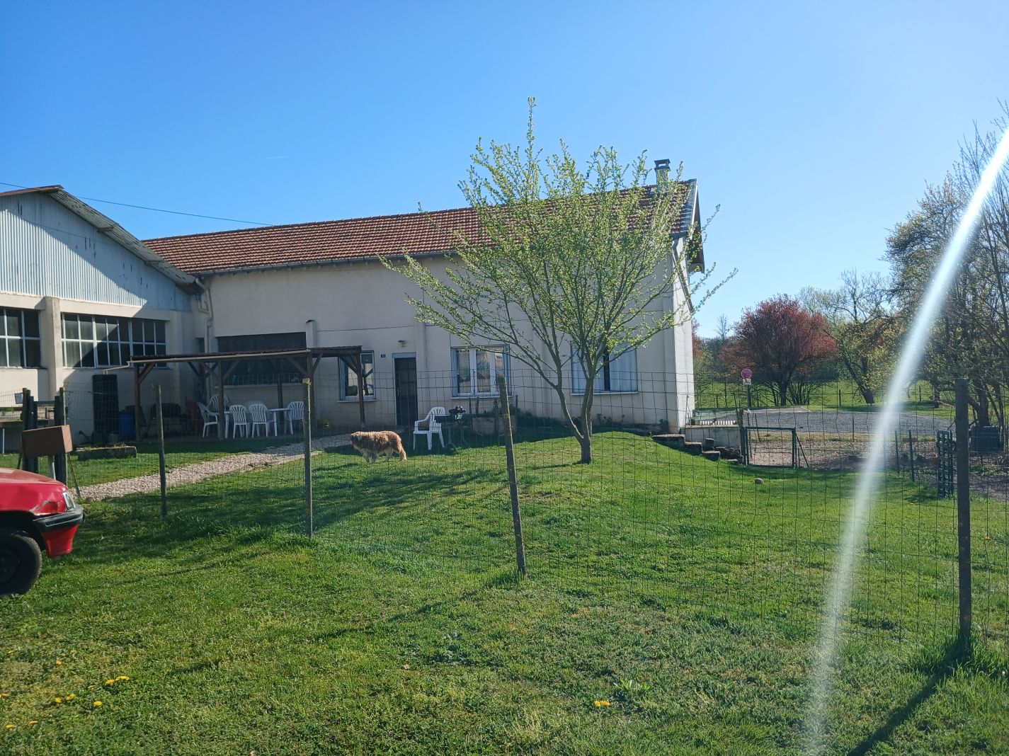 famicity orangée Immobilier.png