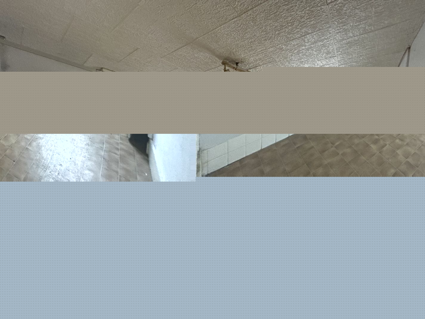 famicity orangée Immobilier.png