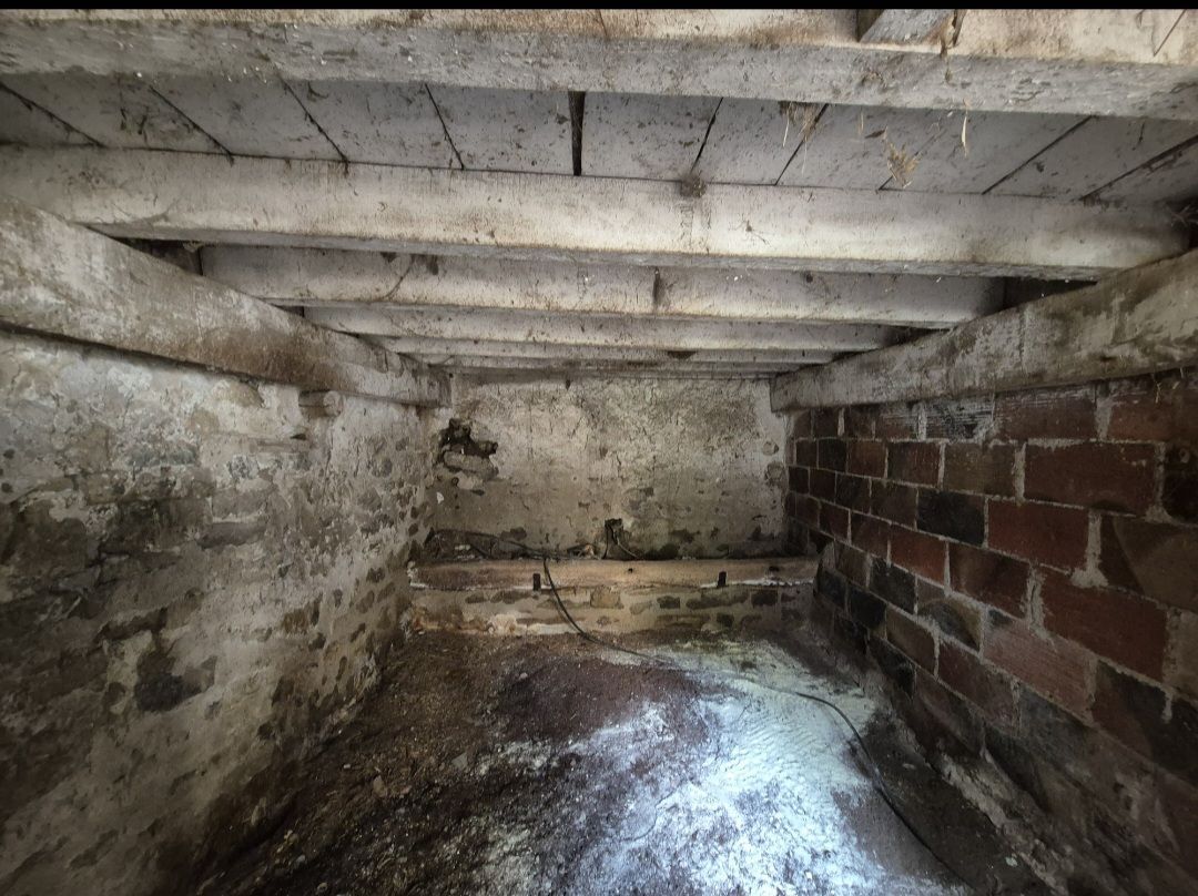 famicity orangée Immobilier.png