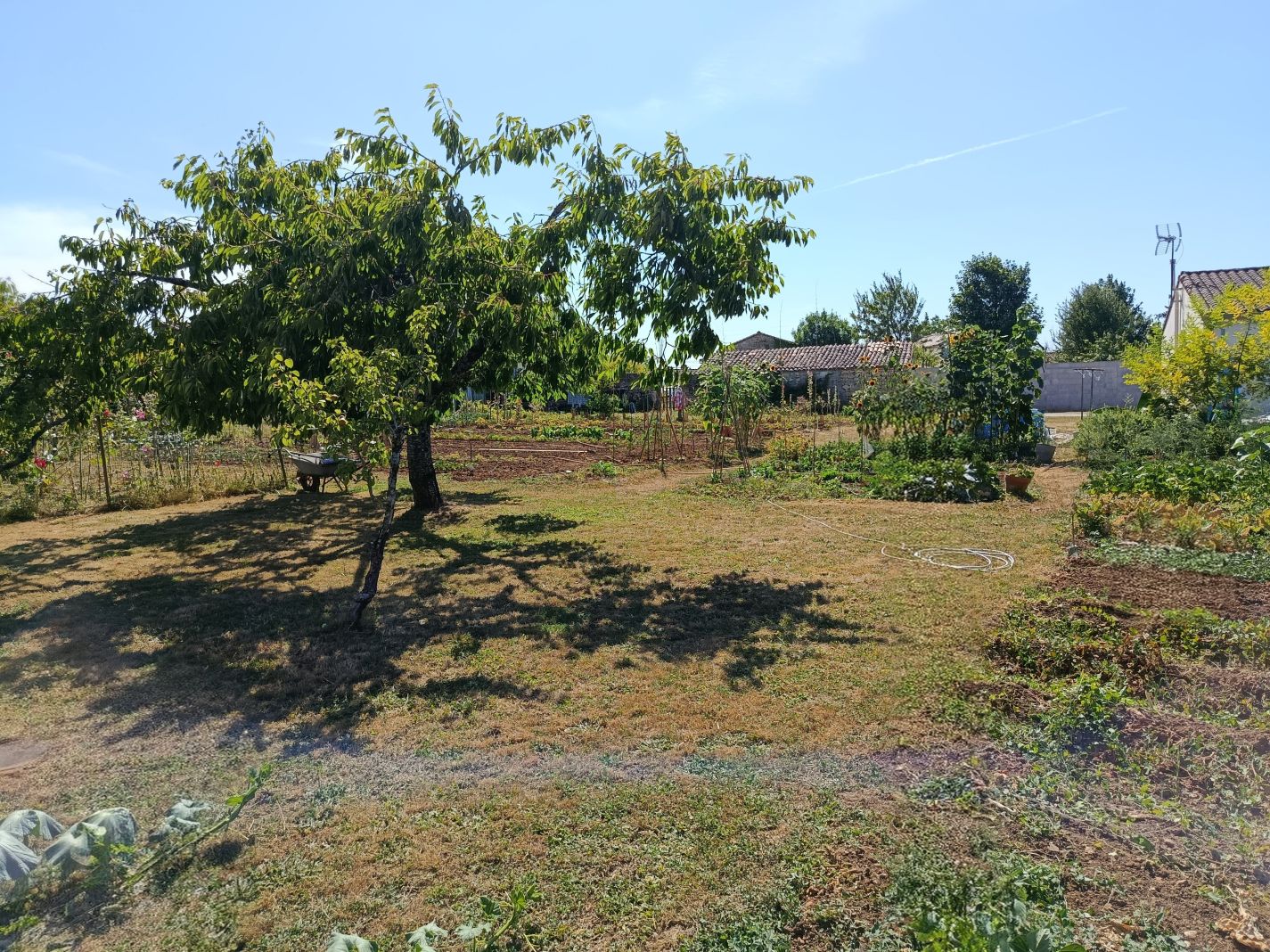 Selection de nos biens actuellement à vendre maisons, appartements, garages, terrains, locaux commerciaux etc.