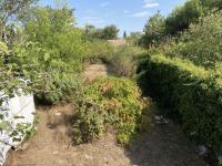 TERRAINAigues Vives30