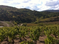 SiteVILLENEUVE LES CORBIERES11